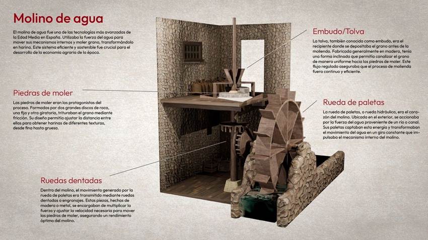 La Importancia de las Infografías 3D en la Educación y Cultura